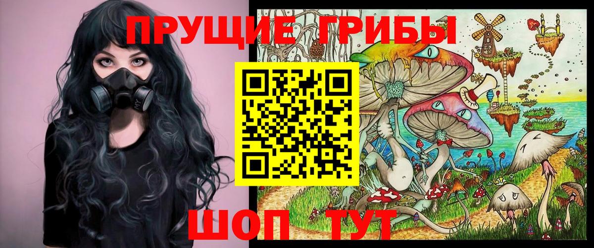 Людиново  Псилоцибиновые грибы Psilocybe  Галлюциногенные грибы мухоморы  Вход с VPN 